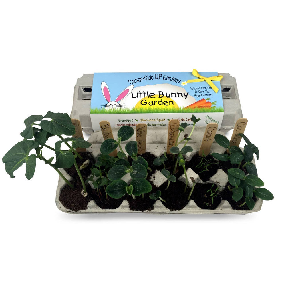 Little Bunny Garden Grow Kit