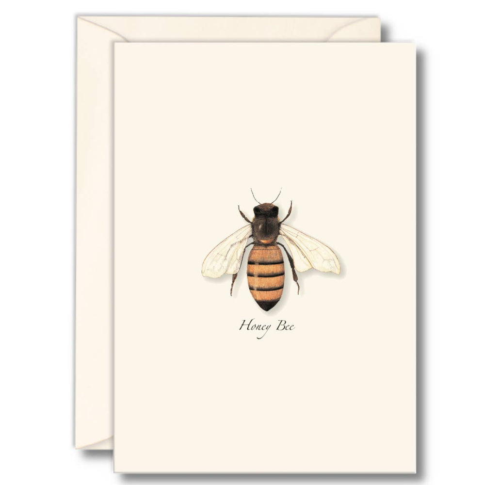 Honey Bee Note Cards