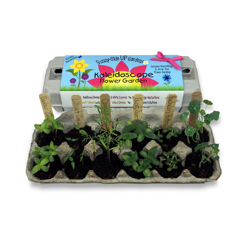 Kaleidescope Garden Kit