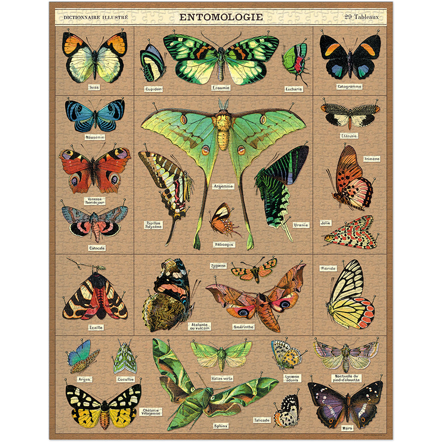 Entomologie Jigsaw Puzzle (1000pc)